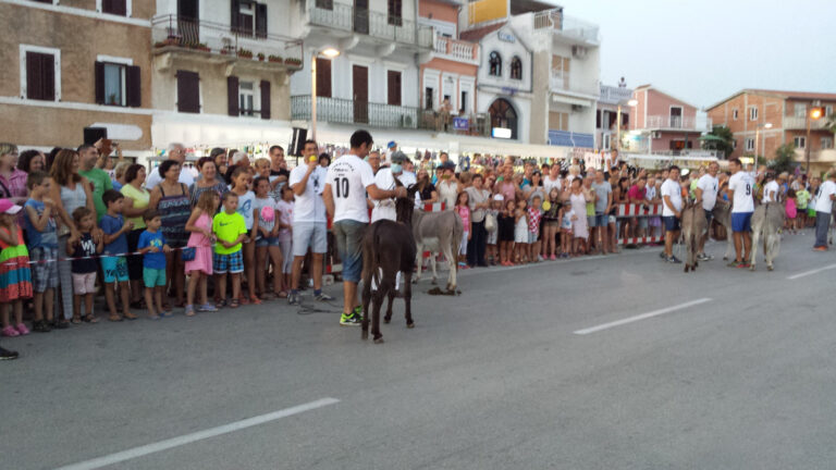 Read more about the article Donkey races